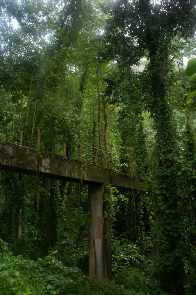 São Tomé and Principe history is slowly being taken back