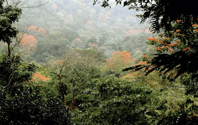 Central Sao Tome Travel Guide