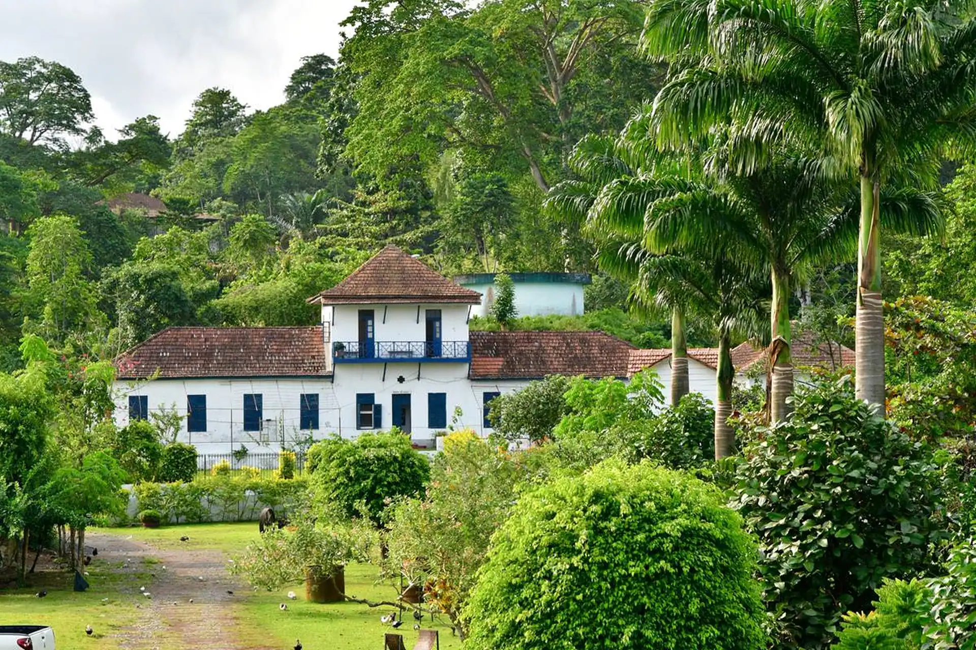 Central Sao Tome Tour